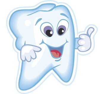 Картинки по запросу здоровые зубы